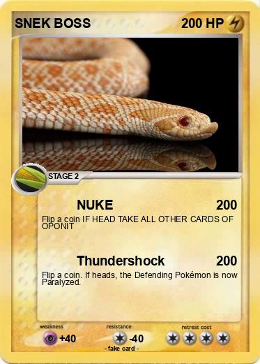 Pokemon SNEK BOSS