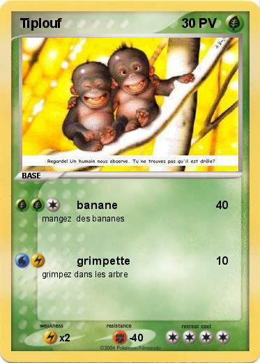 Pokemon Tiplouf