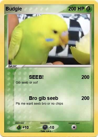 Pokemon Budgie