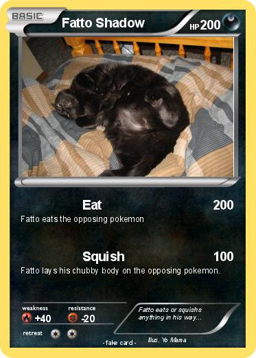 Pokemon Fatto Shadow