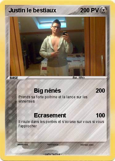 Pokemon Justin le bestiaux