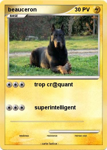 Pokemon beauceron