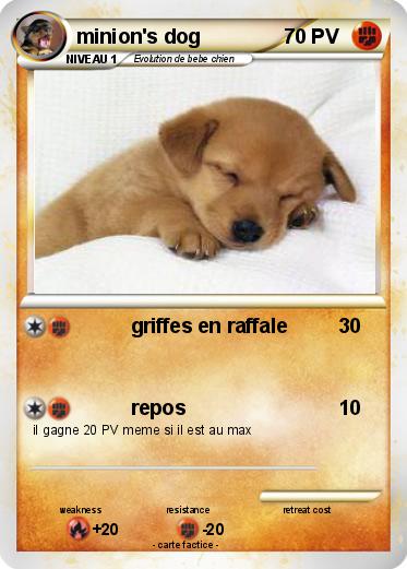 Pokemon minion's dog