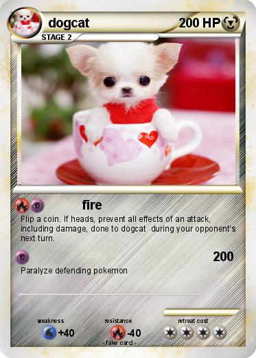 Pokemon dogcat