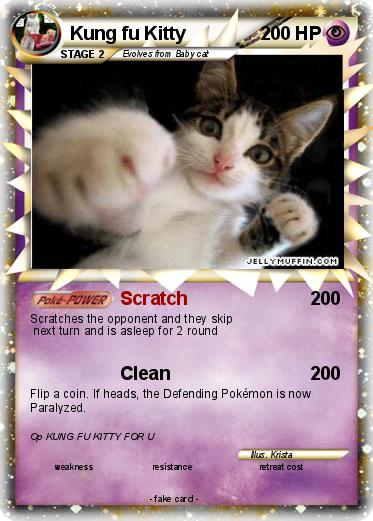 Pokemon Kung fu Kitty