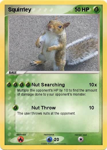 Pokemon Squirrley