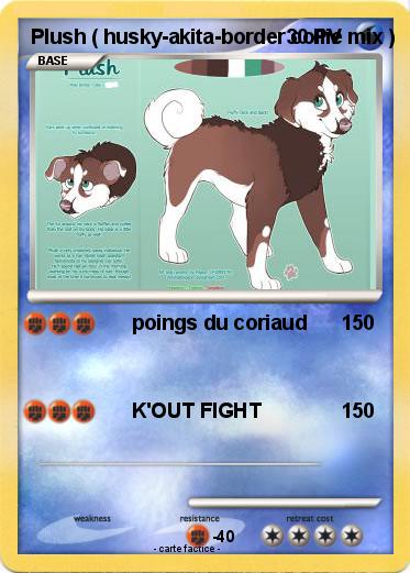 Pokemon Plush ( husky-akita-border collie mix )