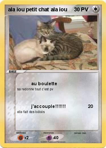 Pokemon ala iou petit chat ala iou