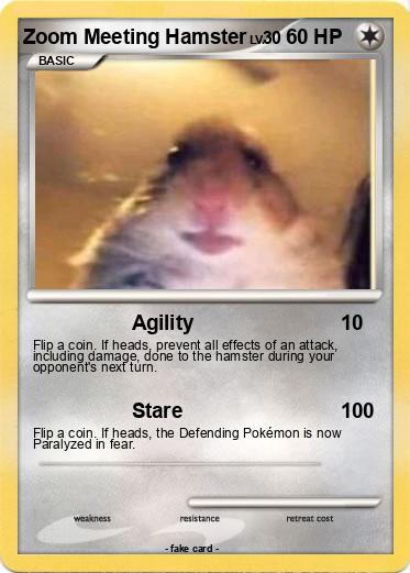 Pokemon Zoom Meeting Hamster