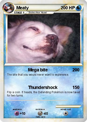 Pokemon Meaty