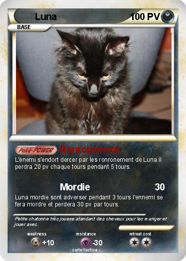 Pokemon Luna