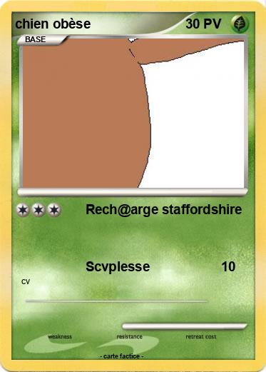 Pokemon chien obèse