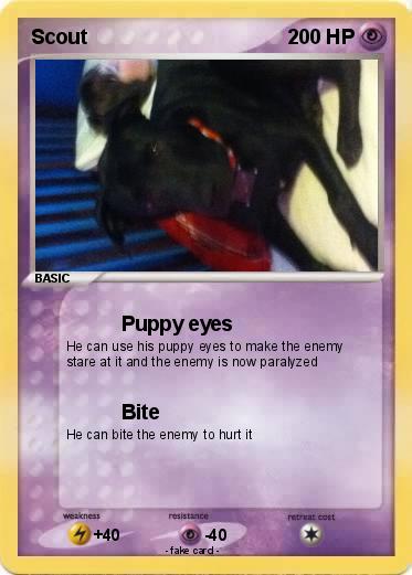 Pokemon Scout