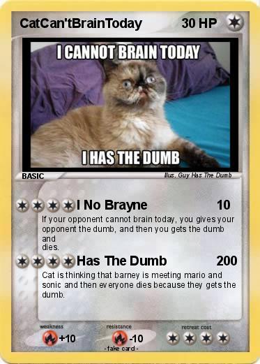 Pokemon CatCan'tBrainToday