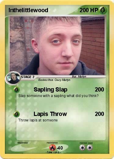 Pokemon Inthelittlewood