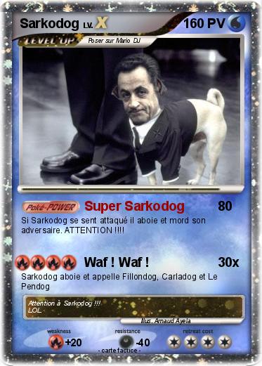 Pokemon Sarkodog
