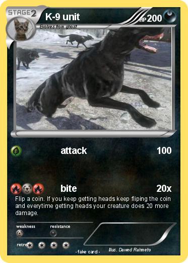 Pokemon K-9 unit