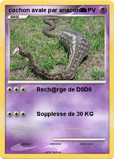 Pokemon cochon avale par anaconda