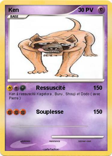 Pokemon Ken