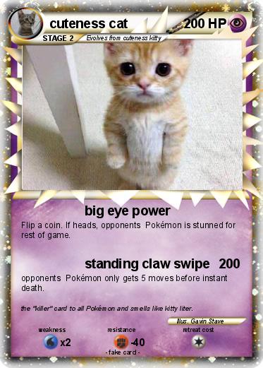 Pokemon cuteness cat
