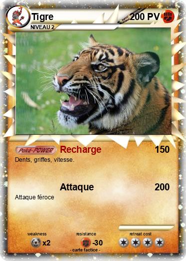 Pokemon Tigre
