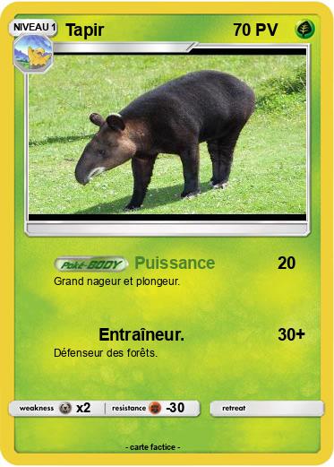 Pokemon Tapir