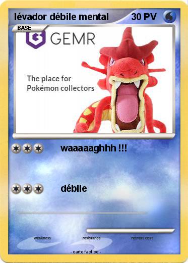Pokemon lévador débile mental