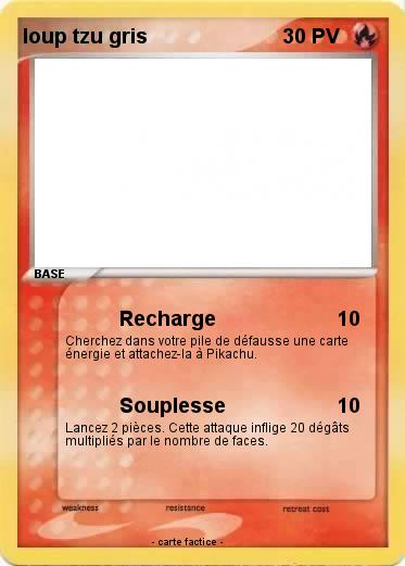 Pokemon loup tzu gris