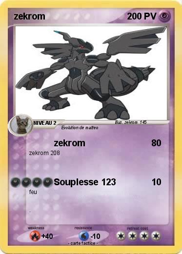 Pokemon zekrom