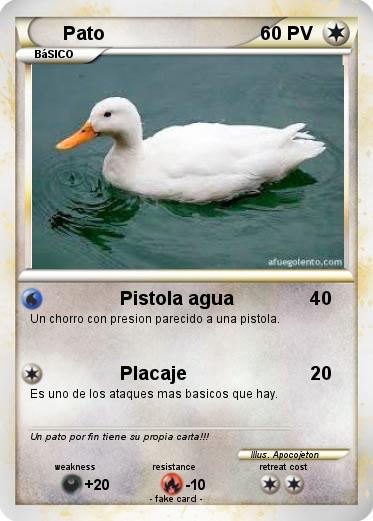 Pokemon Pato