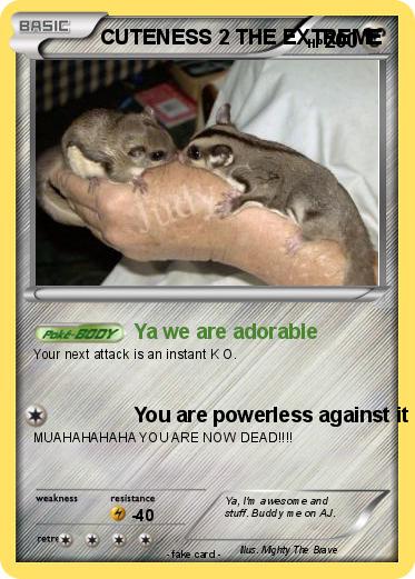 Pokemon CUTENESS 2 THE EXTREME