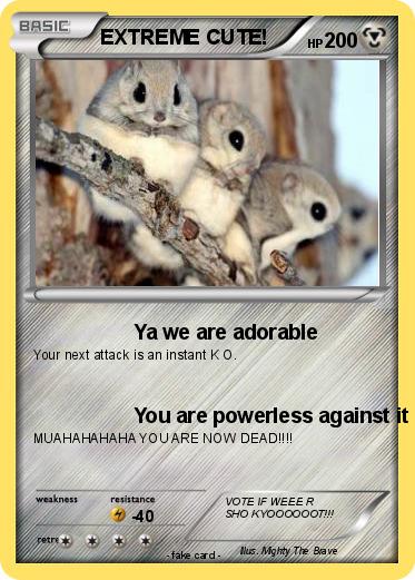 Pokemon EXTREME CUTE!