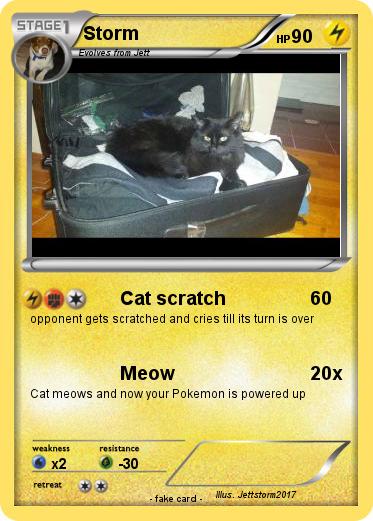 Pokemon Storm