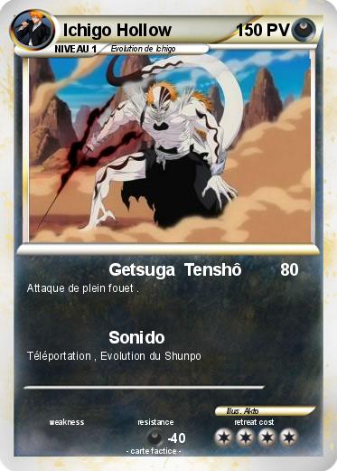 Pokemon Ichigo Hollow