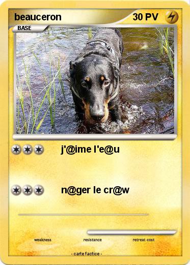 Pokemon beauceron