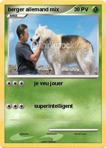 Pokemon berger allemand mix