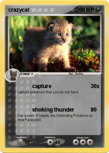 Pokemon crazycat