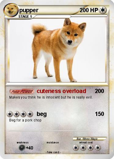 Pokemon pupper
