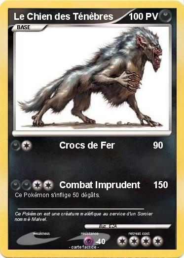 Pokemon Le Chien des Ténèbres