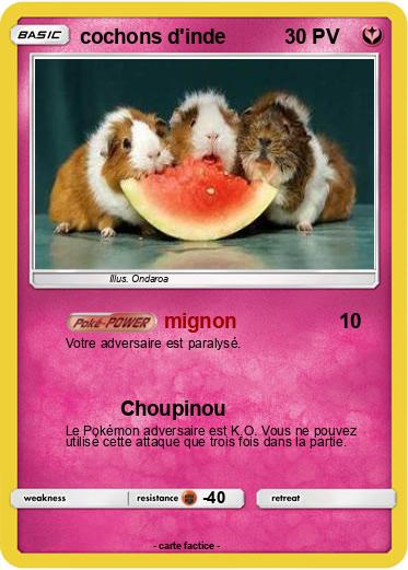 Pokemon cochons d'inde