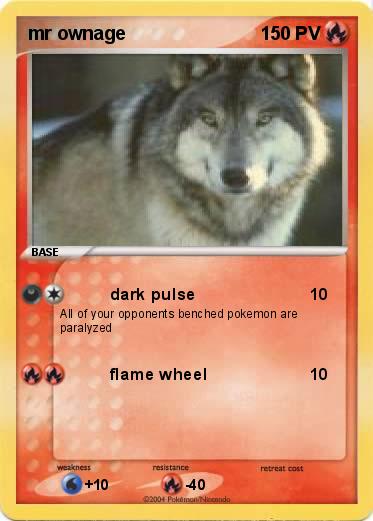 Pokemon mr ownage