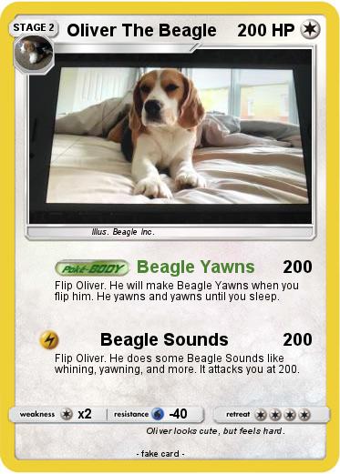 Pokemon Oliver The Beagle