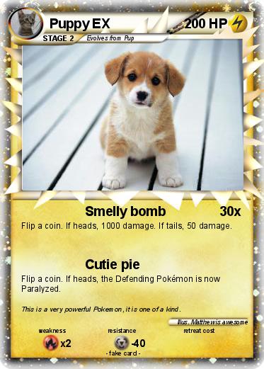 Pokemon Puppy EX