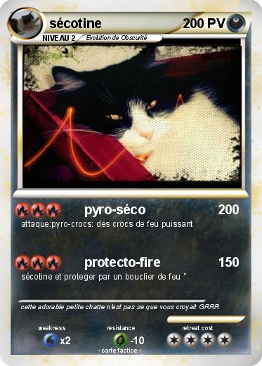 Pokemon sécotine