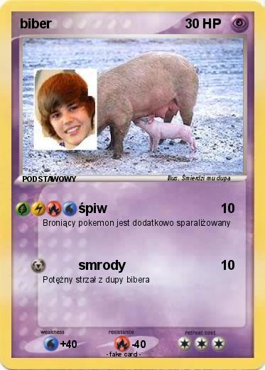 Pokemon biber