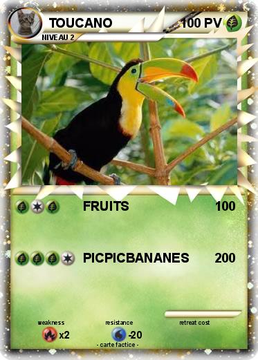 Pokemon TOUCANO
