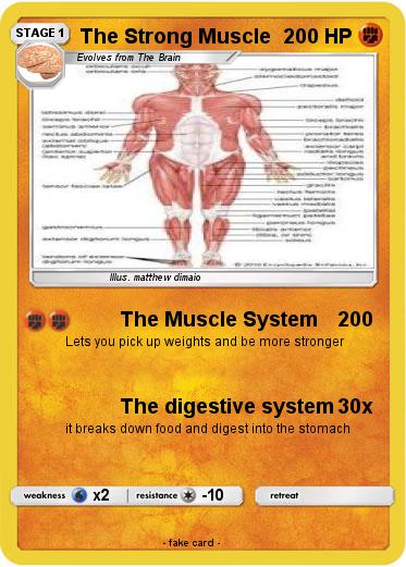 Pokemon The Strong Muscle