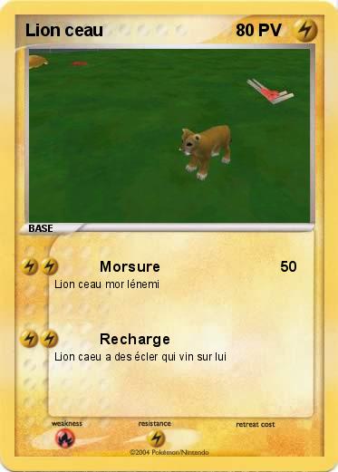 Pokemon Lion ceau