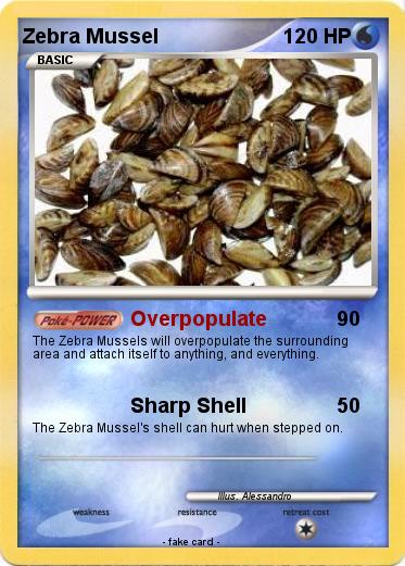 Pokemon Zebra Mussel