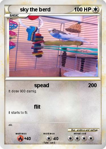 Pokemon sky the berd